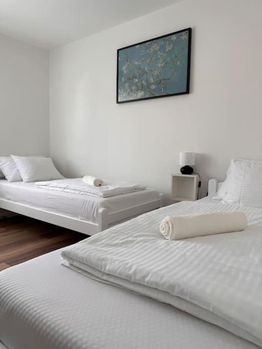 Apartman Trsat *